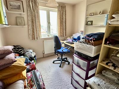 Picture 23